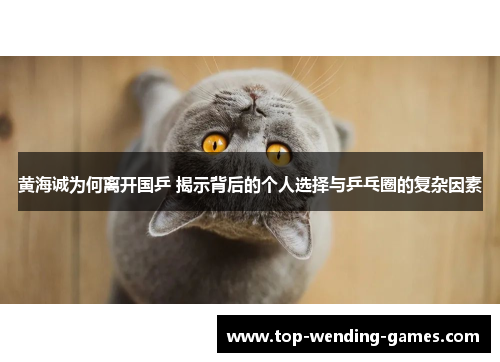 黄海诚为何离开国乒 揭示背后的个人选择与乒乓圈的复杂因素