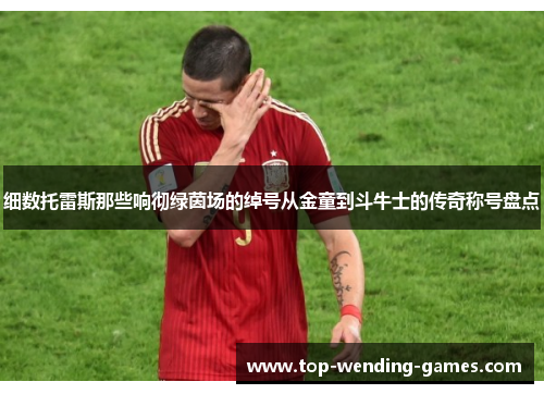 细数托雷斯那些响彻绿茵场的绰号从金童到斗牛士的传奇称号盘点