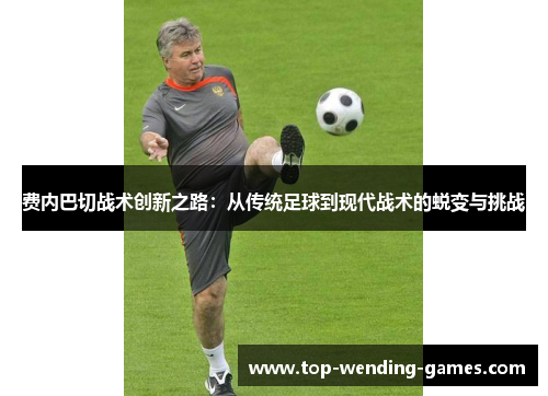 费内巴切战术创新之路：从传统足球到现代战术的蜕变与挑战