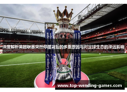 深度解析英超联赛突然停摆背后的多重原因与对足球生态的深远影响