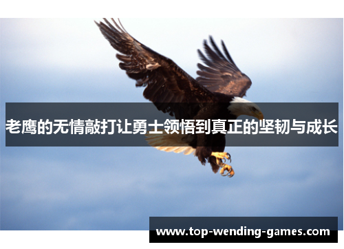 老鹰的无情敲打让勇士领悟到真正的坚韧与成长 老鹰的无情敲打让勇士领悟到真正的坚韧与成长
