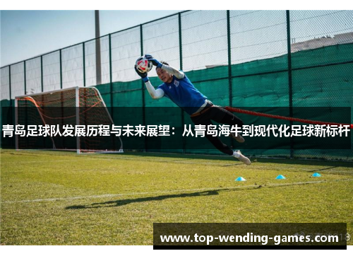 青岛足球队发展历程与未来展望:从青岛海牛到现代化足球新标杆 青岛足球队发展历程与未来展望:从青岛海牛到现代化足球新标杆
